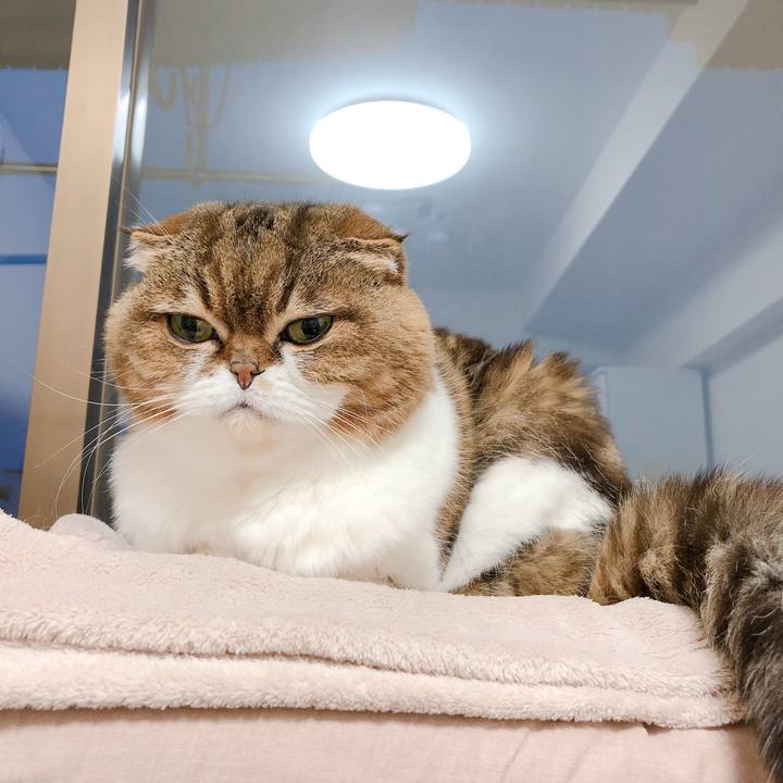 55fd795b 4ab4 40fc aeea 3ee35605c6ec 1555155015739