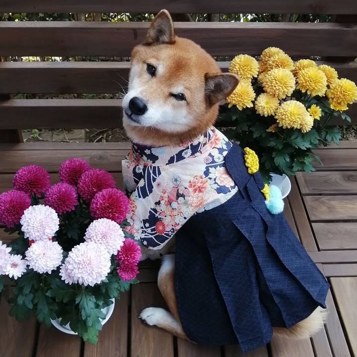 55fd8d92 2122 48fd 9abe 7054fa48d7a8 1605661807896