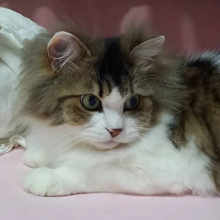 55fdc314 6705 412b 8a98 0b43d8e2efa1 1679145232765