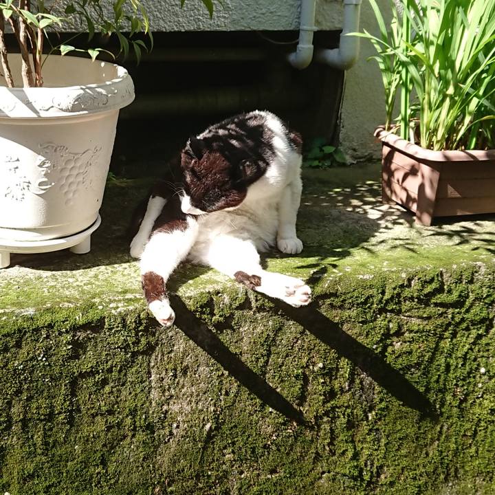 55fde960 c96a 403c acc2 71ee502a8f83 1686959081091