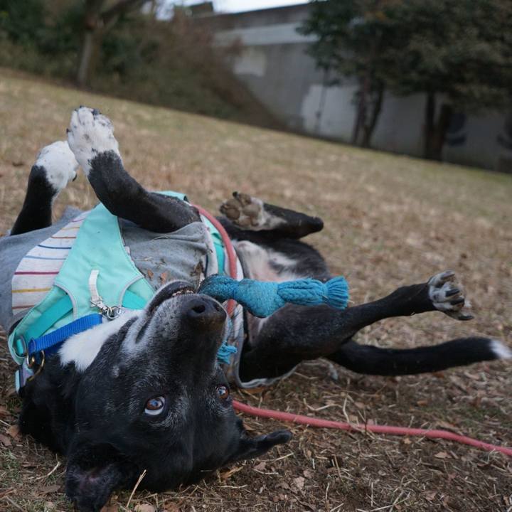 55fded01 b446 4445 b44d 760a3f42f53d 1769474794598