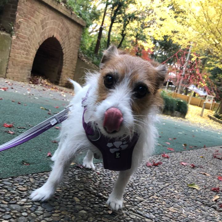 55fdf0a3 4904 4886 b374 b1162050f9da 1698411389300