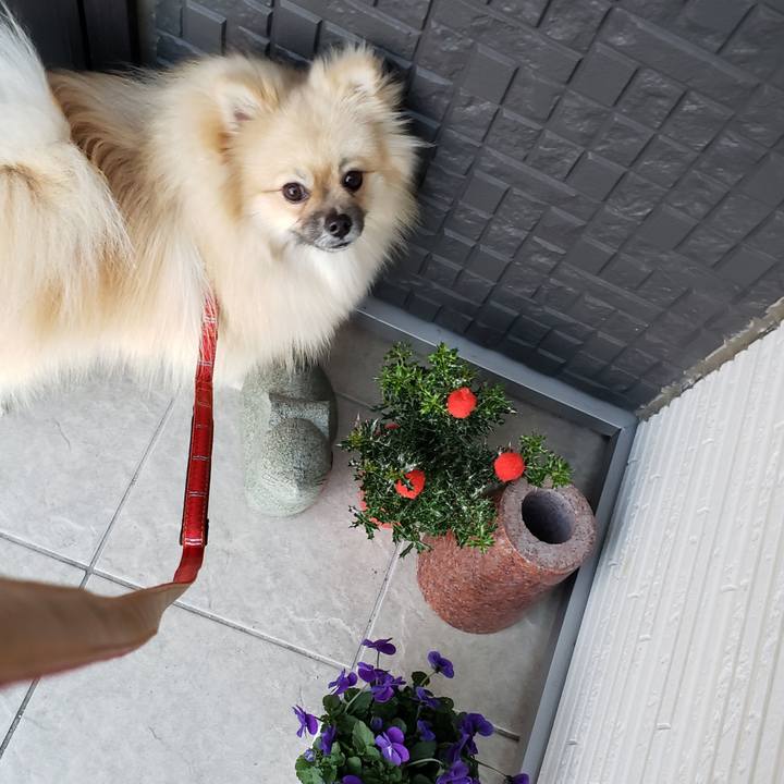 55fe13fb 7895 415a 92f4 9c76902ce8cd 1641543102555