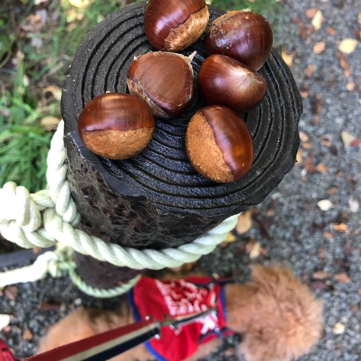 55fe18c3 a214 4adf 91e5 85ba3a305f29 1663119922365