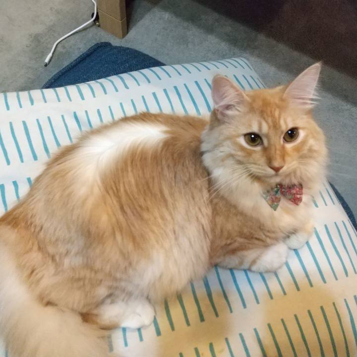 55fe3732 03e6 4334 84f0 777b0a3ec875 1632573310586