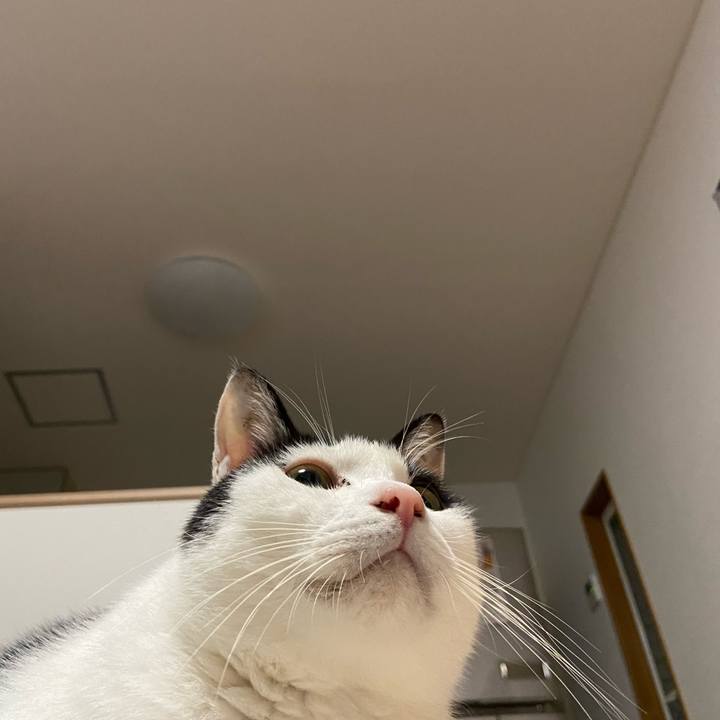 55fe43d5 af24 4a7b 83d7 ff33cebcf299 1606650618491