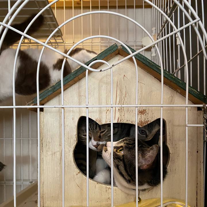 55fe501c fdb1 4c20 b04c 1211d45a28ea 1700968639177