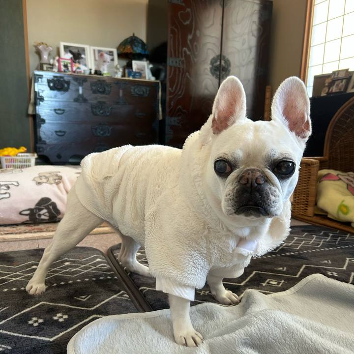 55fe588a 5fa9 40ef 8ae9 a943082983f3 1768183573208