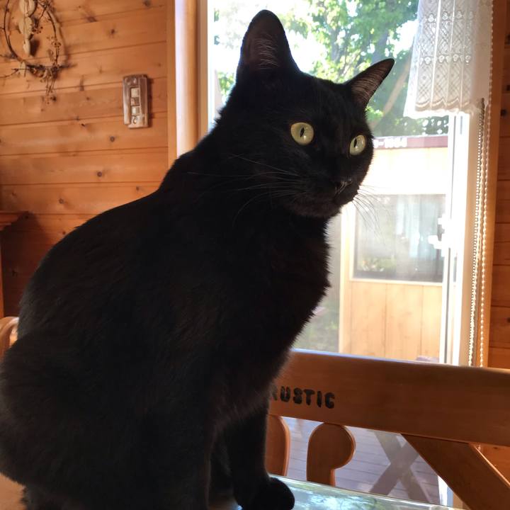 55fe988e 64d6 4763 9f6d d1541b579671 1661035154369