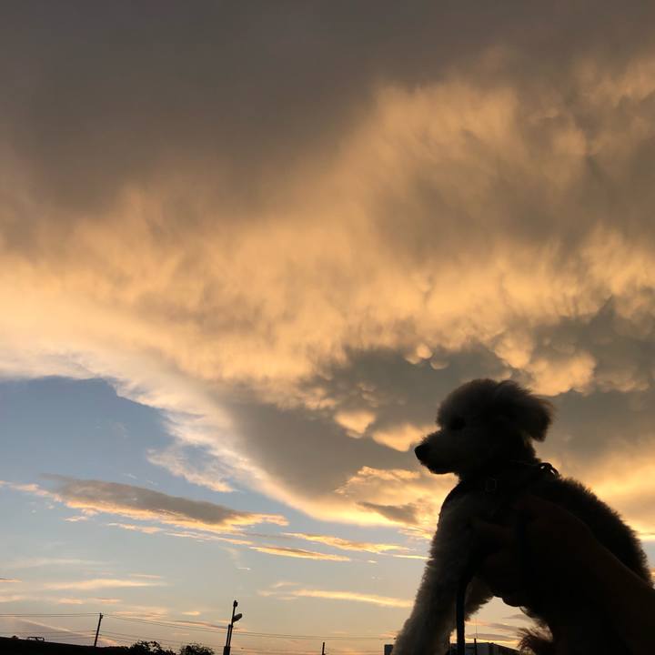 55fea9e4 4b5d 4ae4 8f6f d68dacd9ec49 1670428989895