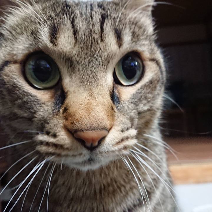 55fec720 8de7 415b bc83 d17e74016b66 1609613342713