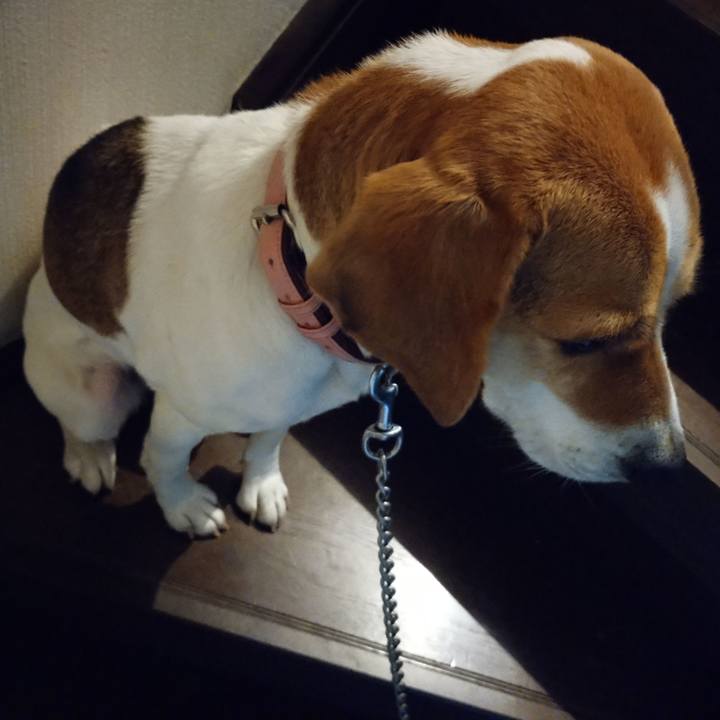 55feda79 9144 490d 81ca 5c9040cb5eea 1580135378932