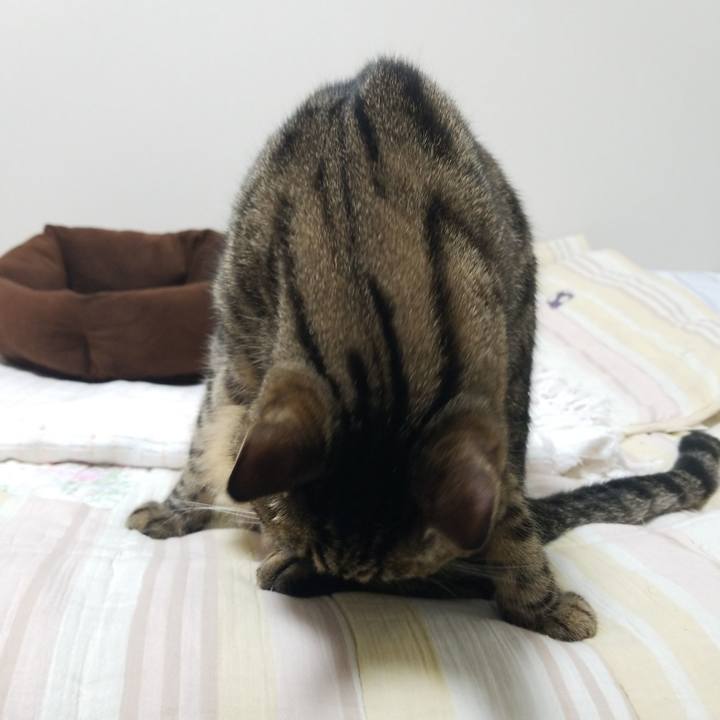 55fedd0f 0d13 4d7b 83ea ccb6221d0534 1594588803045