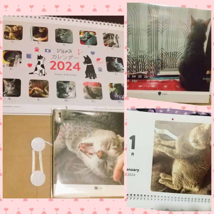 55ff0930 5b60 4ee5 9e14 acba5e6f6a30 1702463359384