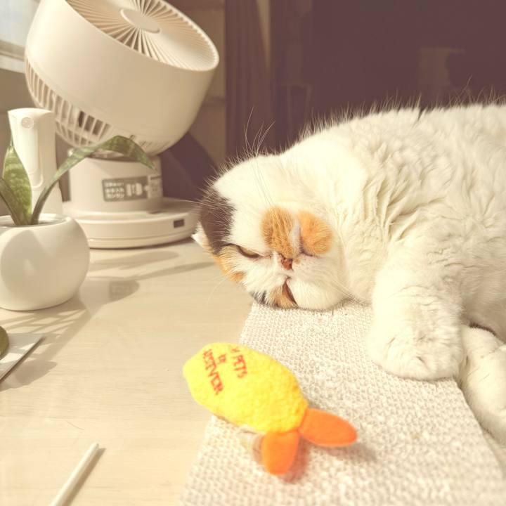 55ff1449 ed1c 497f a81a e3b622b72f8d 1745808959506