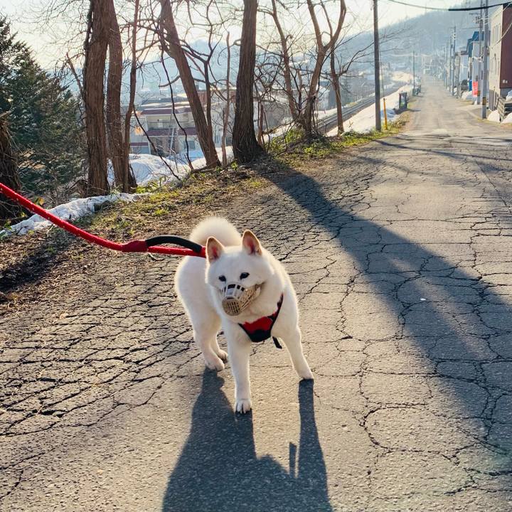 55ff1fdc 396d 43b7 a77f 68dba32745fd 1680042548765