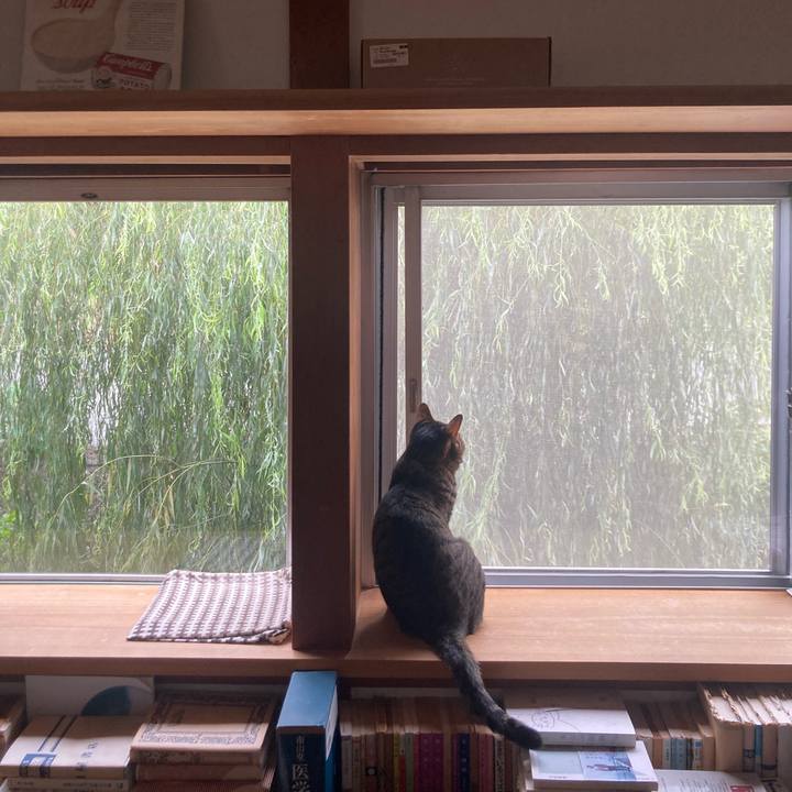 55ff286b 38dc 468d ade2 2b292f38bb4d 1728085218069