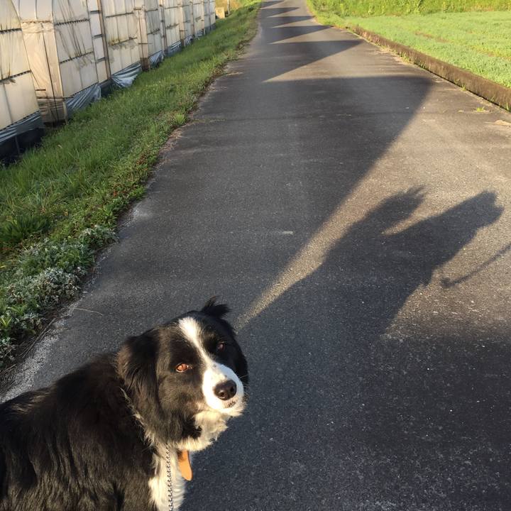 55ff48e9 0996 422d b0a7 135b86b58a30 1521325917510