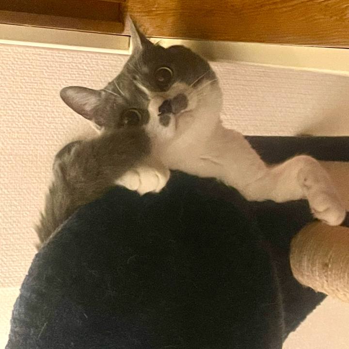 55ff4dd0 c942 4781 8b1d 3a858bb0637a 1744285180517