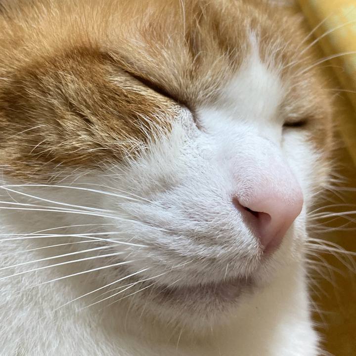 55ff56d7 05e2 4618 a129 b043cf4db4df 1776509174238