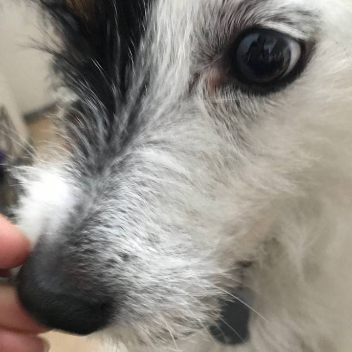 55ff6905 3e40 43e5 b8a0 8c50ba569739 1524610219693