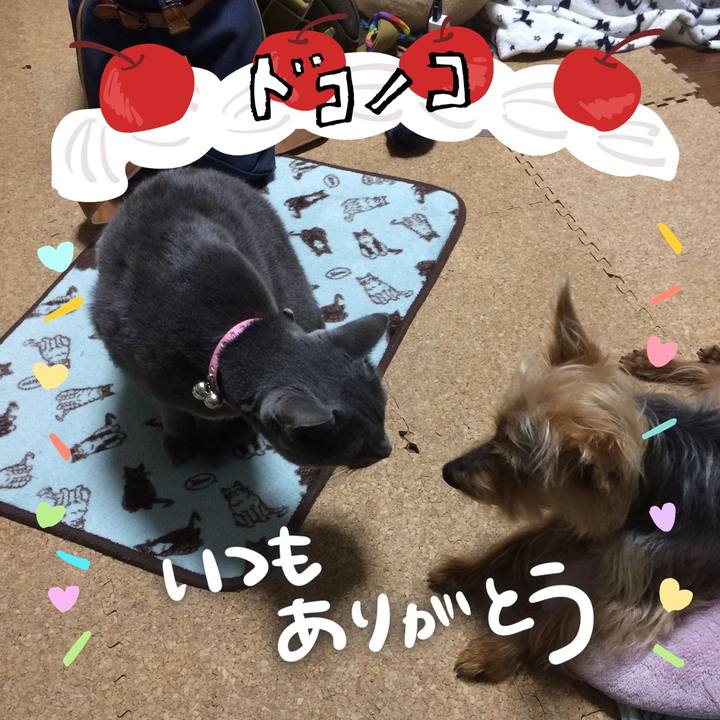 55ff883c 60a8 4271 967a d1feea5c2c9e 1685940671141