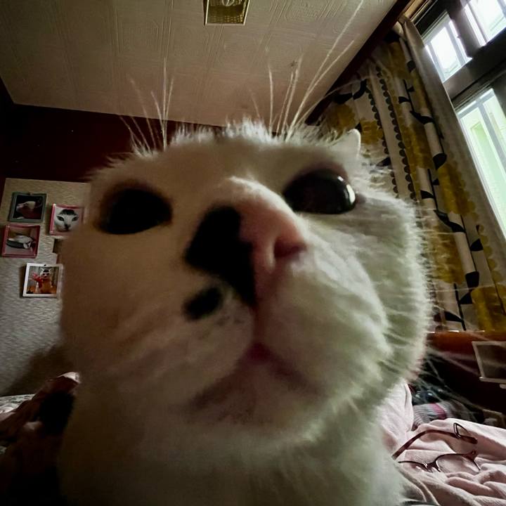 55ff9498 93ee 41a6 bcf5 ce5b1c88c438 1769822249966