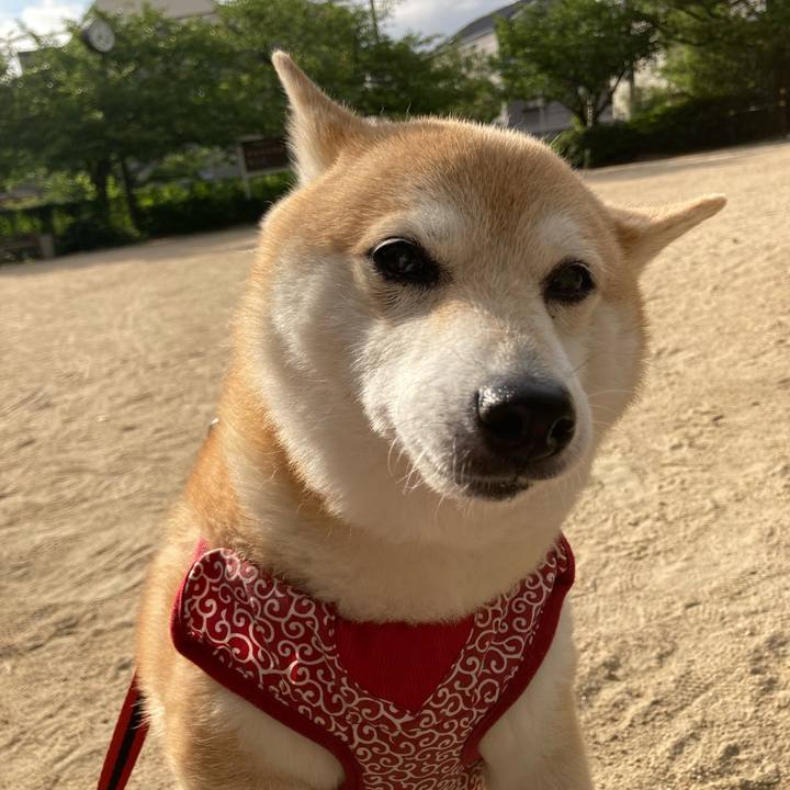 55ffaccf 2a6e 49e6 94e7 9c065876d698 1627122561125