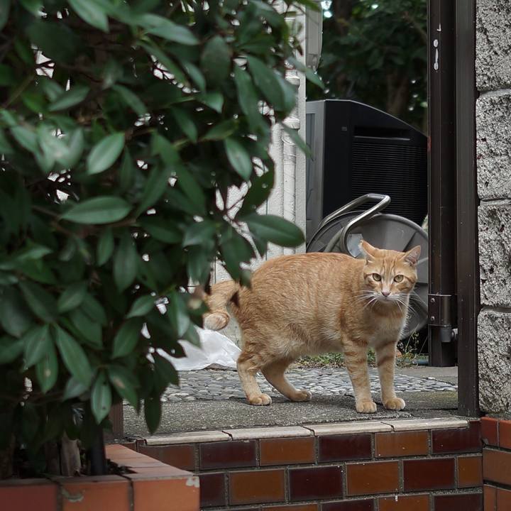 55ffddd1 f428 4ed1 88d4 72eb871cafa3 1536741206124