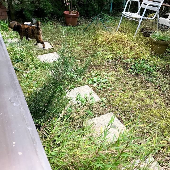 55ffdfdf 3026 4157 85e6 d57038b7beb5 1511494905681