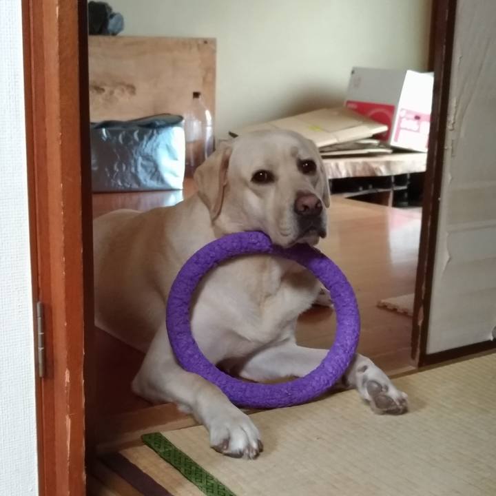 55fff5f4 ef0c 46e6 87b7 e0f1164d81fb 1539917747111