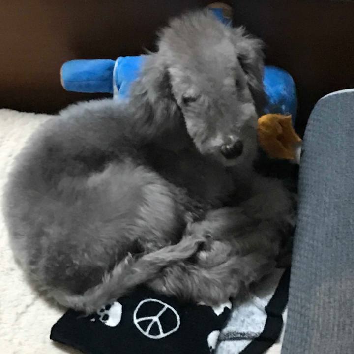 55fff864 3cd2 4775 8c26 70bb1b516222 1572771245646