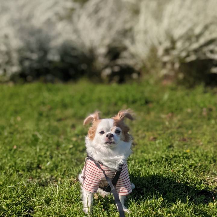 5600642e 7ca4 46eb a19b f92a6b6619d8 1615711024458