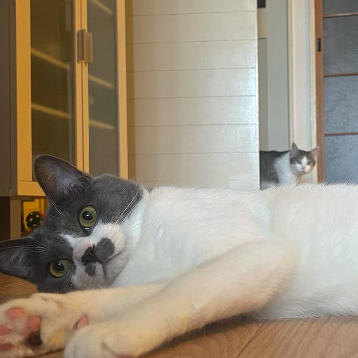 5600826f bd7e 46d2 9e99 eca37014d8c9 1626141285680