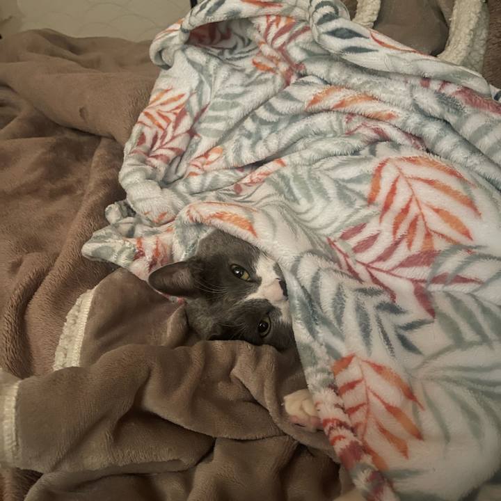 5600830d 5d4a 4616 a917 c0631db3b0fc 1707350708669