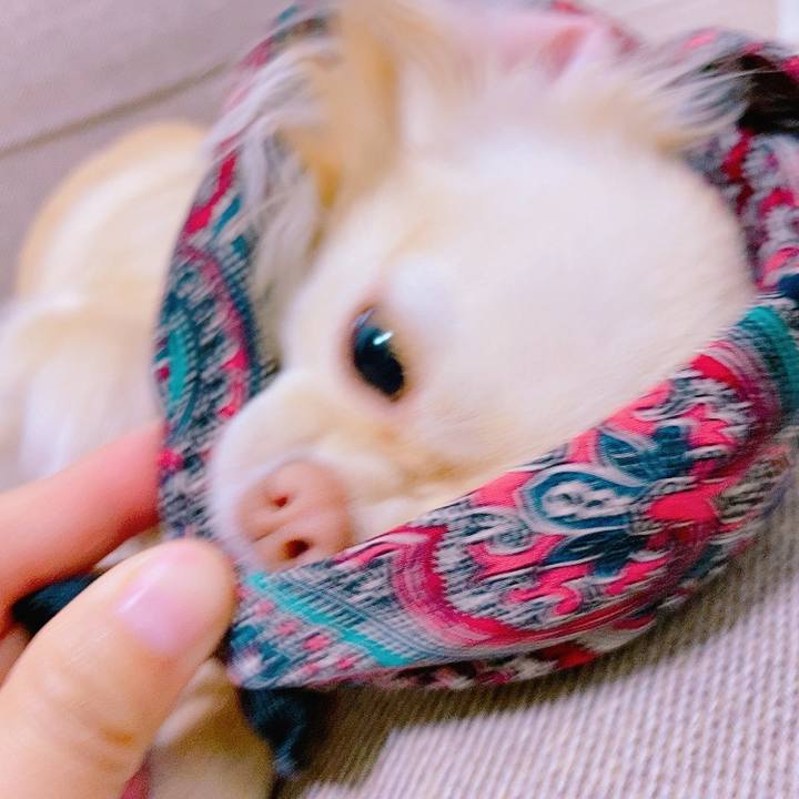 5600e859 f246 48c1 9fc1 bbf0dc73ca53 1620201594205