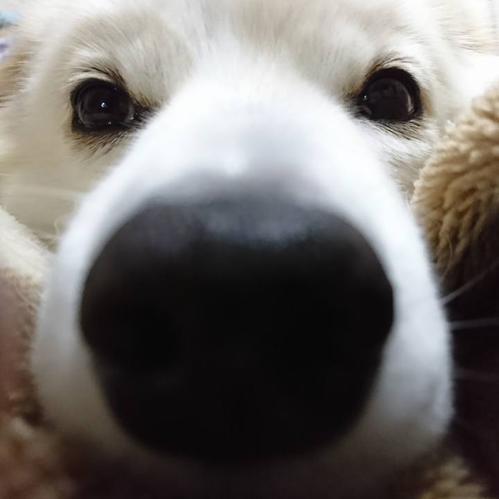 5601199a 77e2 408c be07 4bc222c12be2 1511299691745