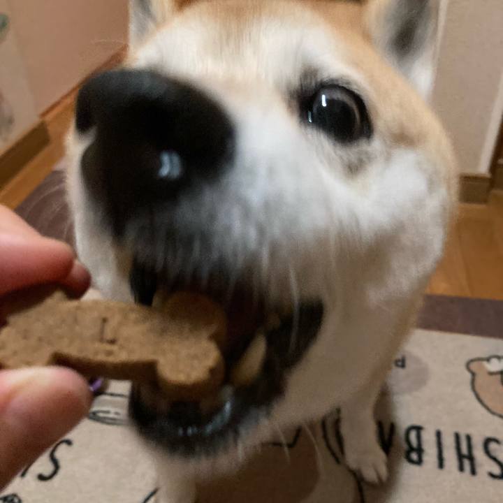 56012e23 5db7 465d 8bb4 b1b7922eb382 1627818761541