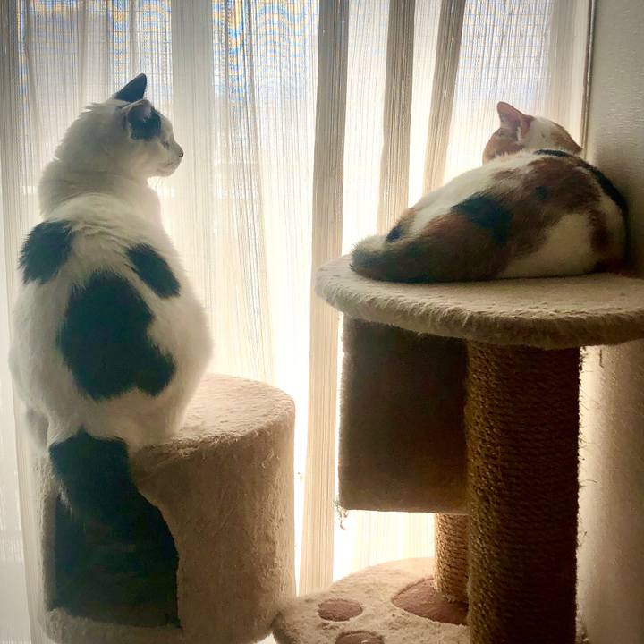 560144a2 0f73 457b a318 a8afd5c05c1e 1574572079828