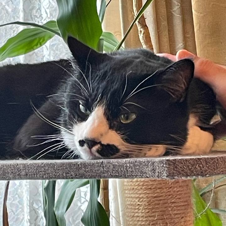 560158ed 8fa0 4eef b3b7 1a23e30c9690 1752279375312