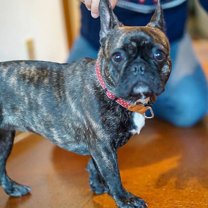 560163c5 bc25 471b 953c c17bf3f98d7c 1518268206796