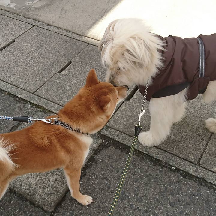 560177d0 9065 485c 96eb 043a6941fb04 1582881462435