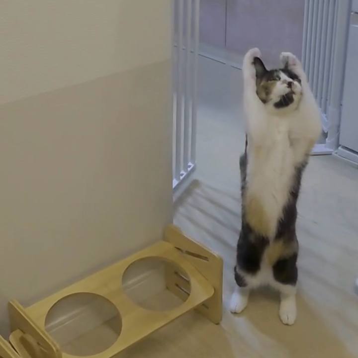 5601b881 5597 45b9 9ea7 151125eb56ab 1763478313798