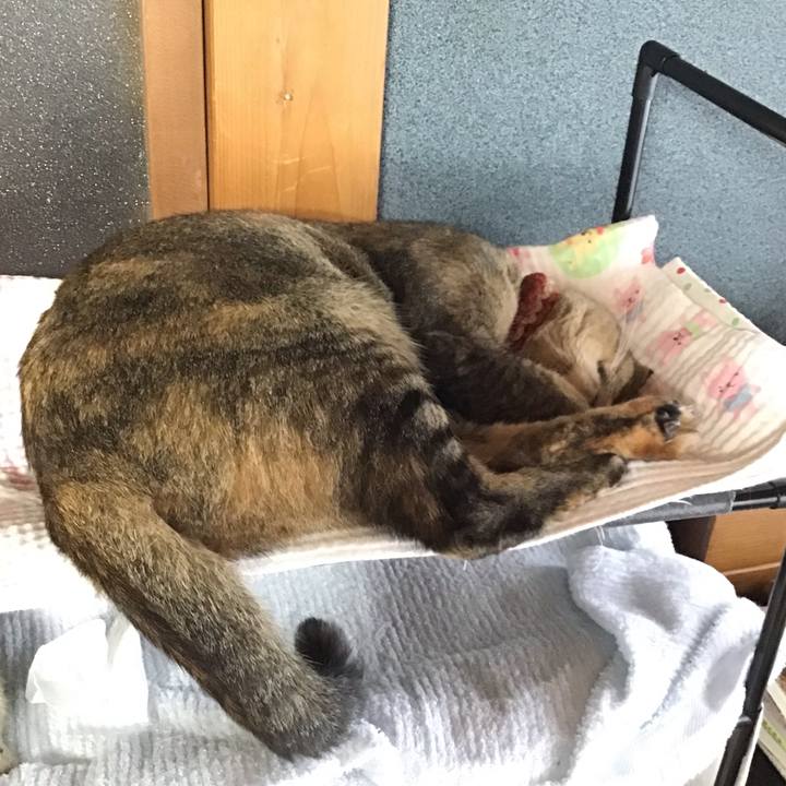 5601dc69 c343 4677 a578 d102bb7bd2e9 1630637097645