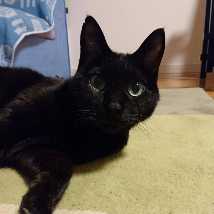 56029f0b 12c3 44b9 ae8a fbeab48f2ee1 1511608771258