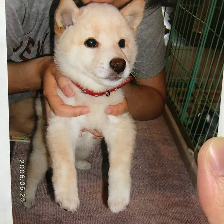 5602a39b 1737 4cff a71e 148d0b065701 1637588816611