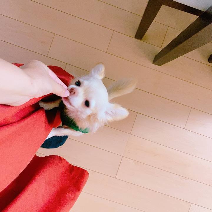 5602be3f 71f4 4eb5 8353 f3fe6339b37e 1628416715924