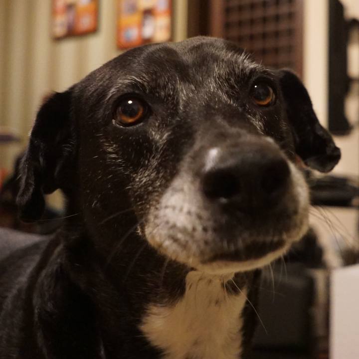 5602c088 ee53 4638 b47c 1f41d3dff8a3 1763212100474