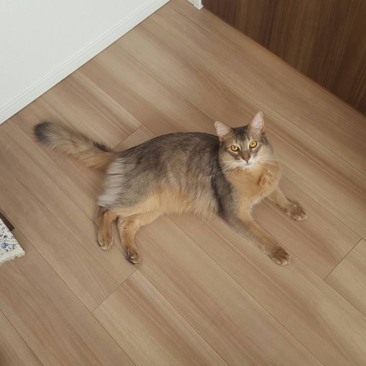 5602cb30 4fc4 4e75 b075 175794801d10 1517018123869