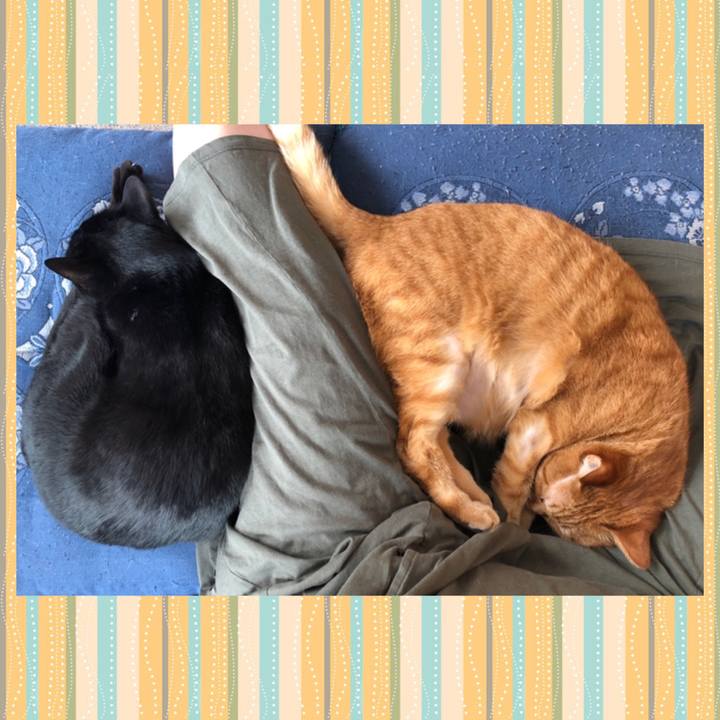 56031bdf afa1 4e74 b7e2 9ad7bce8812f 1679798361952